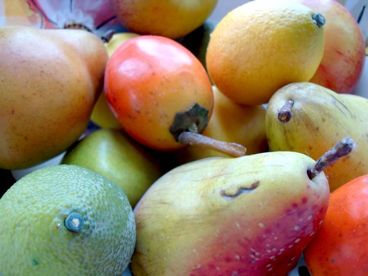 Fruit colors are believed to attract animals to feed on them, but what if the animals don’t see color the way we do? Via publicdomainpictures.net