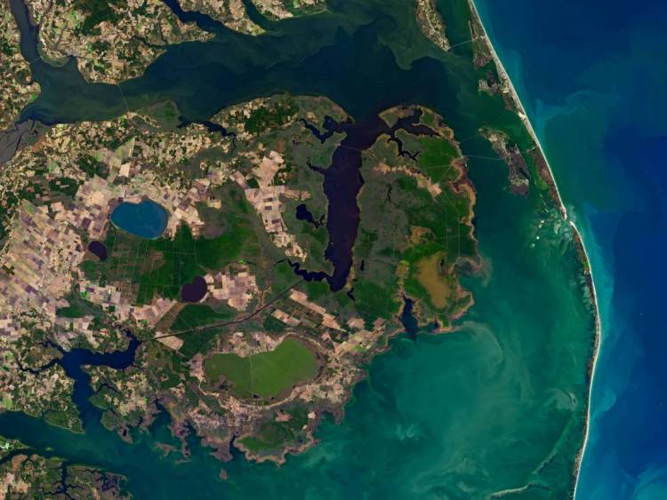 Inland-creeping saltwater is changing U.S. coastal wetlands, and now you can see the effects from space. Credit: NASA / U.S. Geological Survey