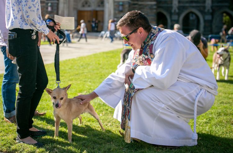 Rev. Bruce Puckett, assistant dean of Duke Chapel, lays a blessing on a dog at the ceremony Sunday.