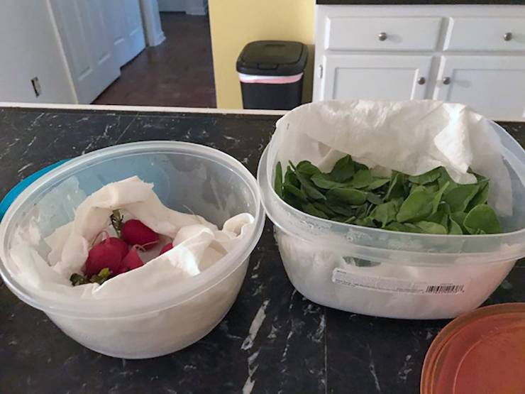 Susan Bartone lines her Tupperware with paper towels to absorb moisture from the produce, which extends the life of her fruits and vegetables. Photo courtesy of Susan Bartone.
