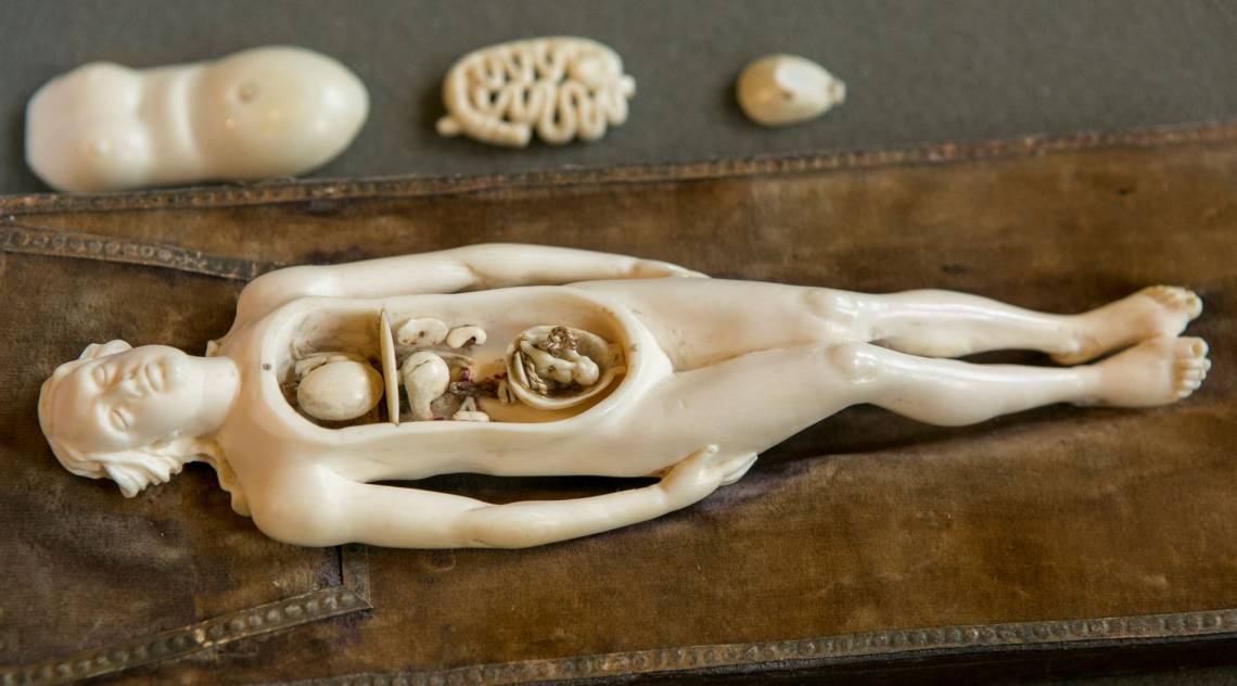 This 300-plus-year-old ivory figurine from the History of Medicine collections was among the dozens of original artifacts and rare books on display at Duke’s annual “Anatomy Day” in the Gothic Reading Room. Photo by Jared Lazarus, Duke University.