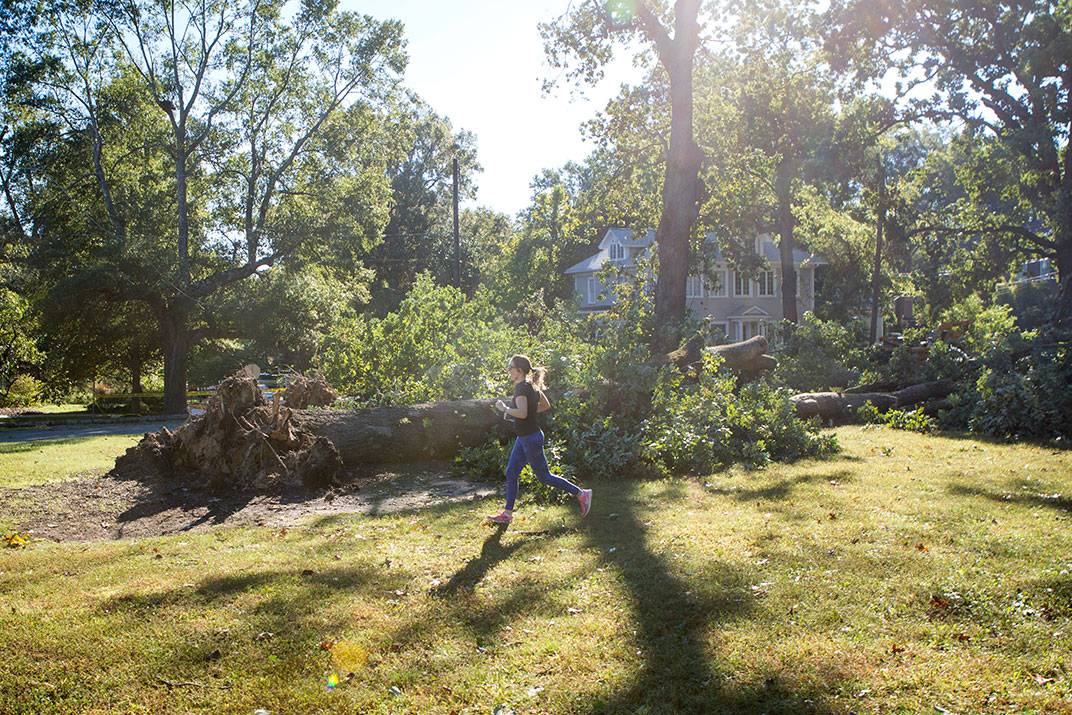 A jogger runs by a downed tree Friday morning on East Campus by Buchanan Boulevard.