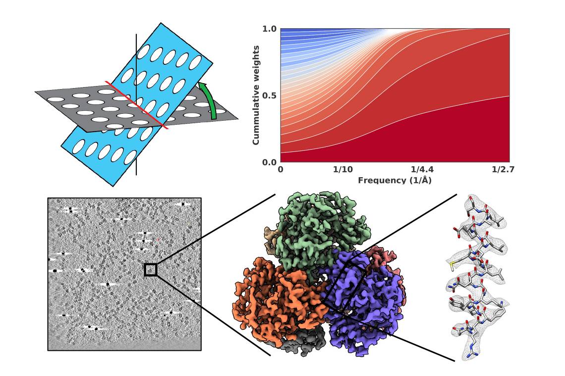 A graphical abstract from the team's new paper. (Alberto Bartesaghi)