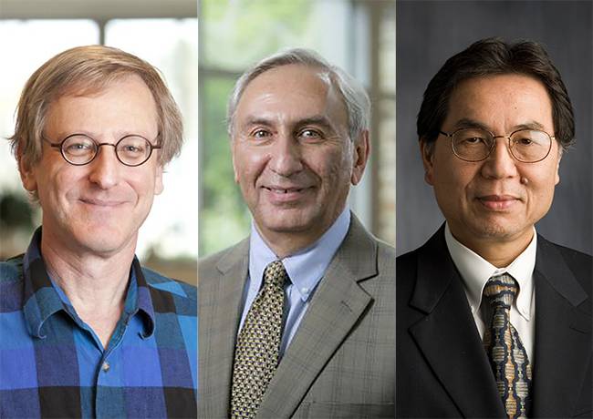 Three Duke scientists have been recognized by the Royal Society of Chemistry (L to R): David Beratan, Michael Rubinstein and Tuan Vo-Dinh