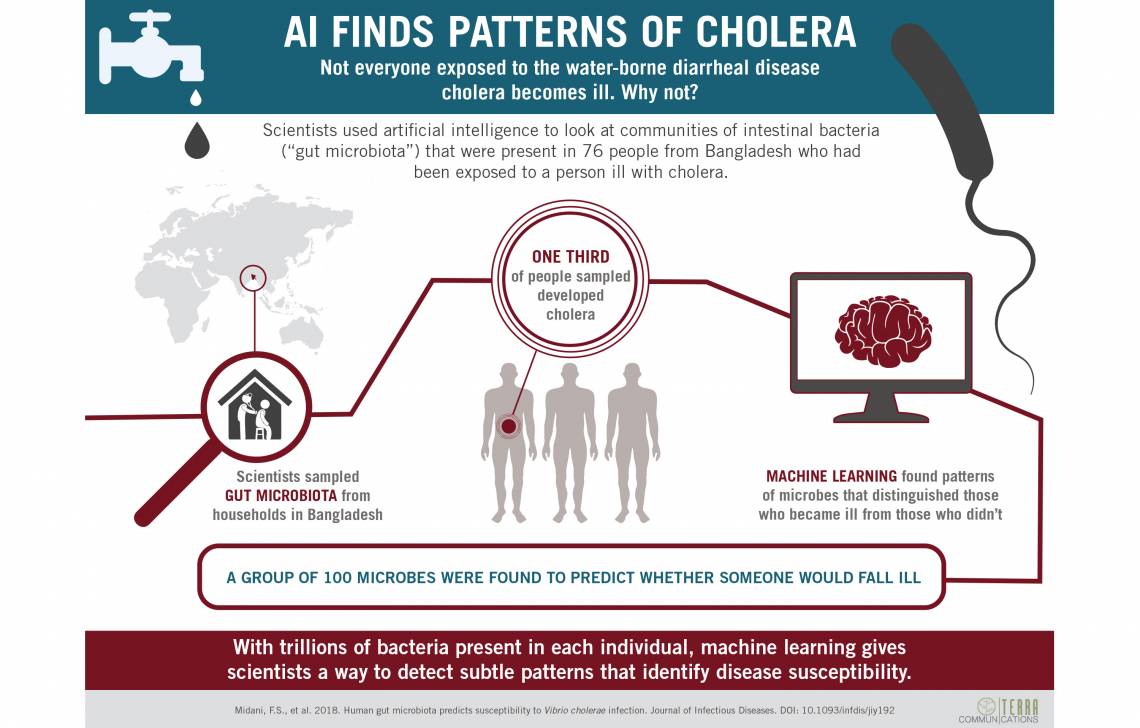 Artificial intelligence detects patterns of gut microbes indicative of cholera risk. (Terra Communications)