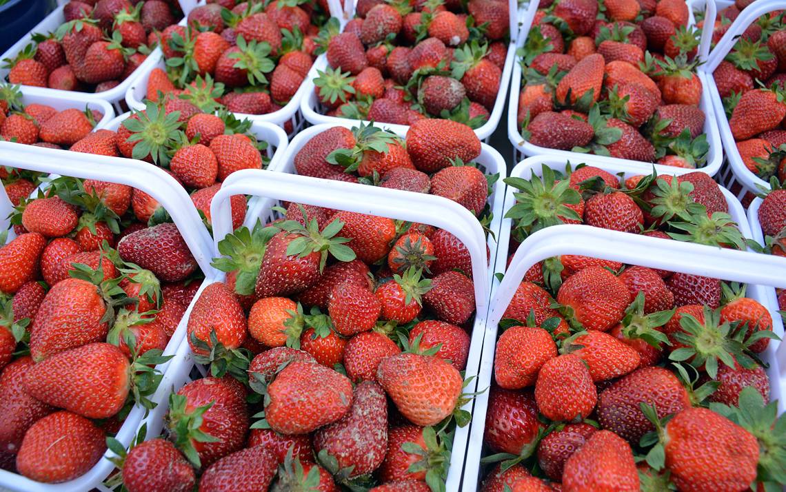 The market runs from 11 a.m. to 2 p.m. every Friday through Sept. 28.