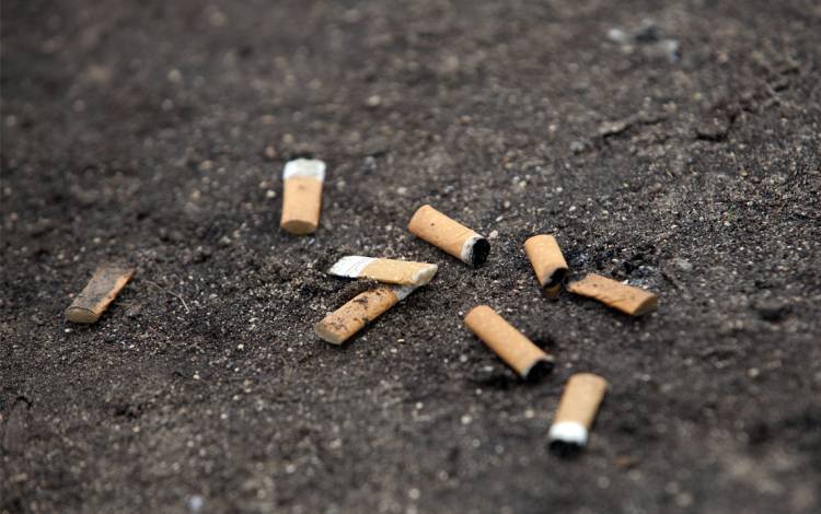 Pick-up tobacco cessation information around campus during The Great American Smokeout