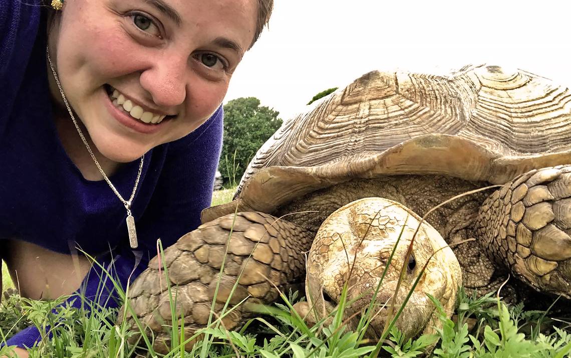 Duke employee Alyssa Brewer meets a sea turtle at Ocean Isle Beach.