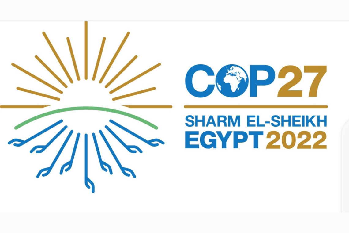 COP Conference logo