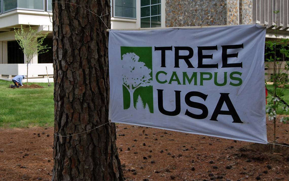 A Tree Campus Higher Education banner hangs near where new trees were being added by Gross Hall. Photo by Stephen Schramm.
