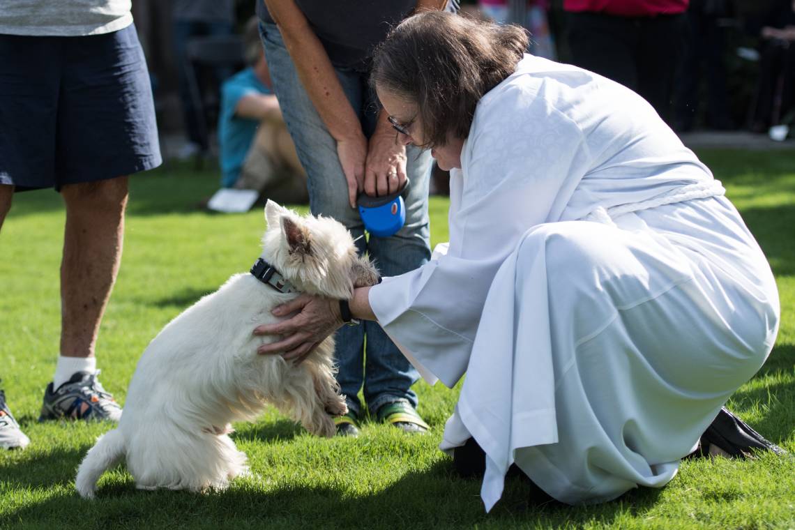 Duke Chapel's Blessing of the Animals service inspired by a medieval monk.