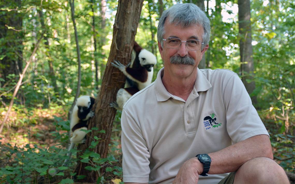 Two Coquerel’s Sifaka lemurs climb a tree behind Charlie Welch at the Duke Lemur Center.