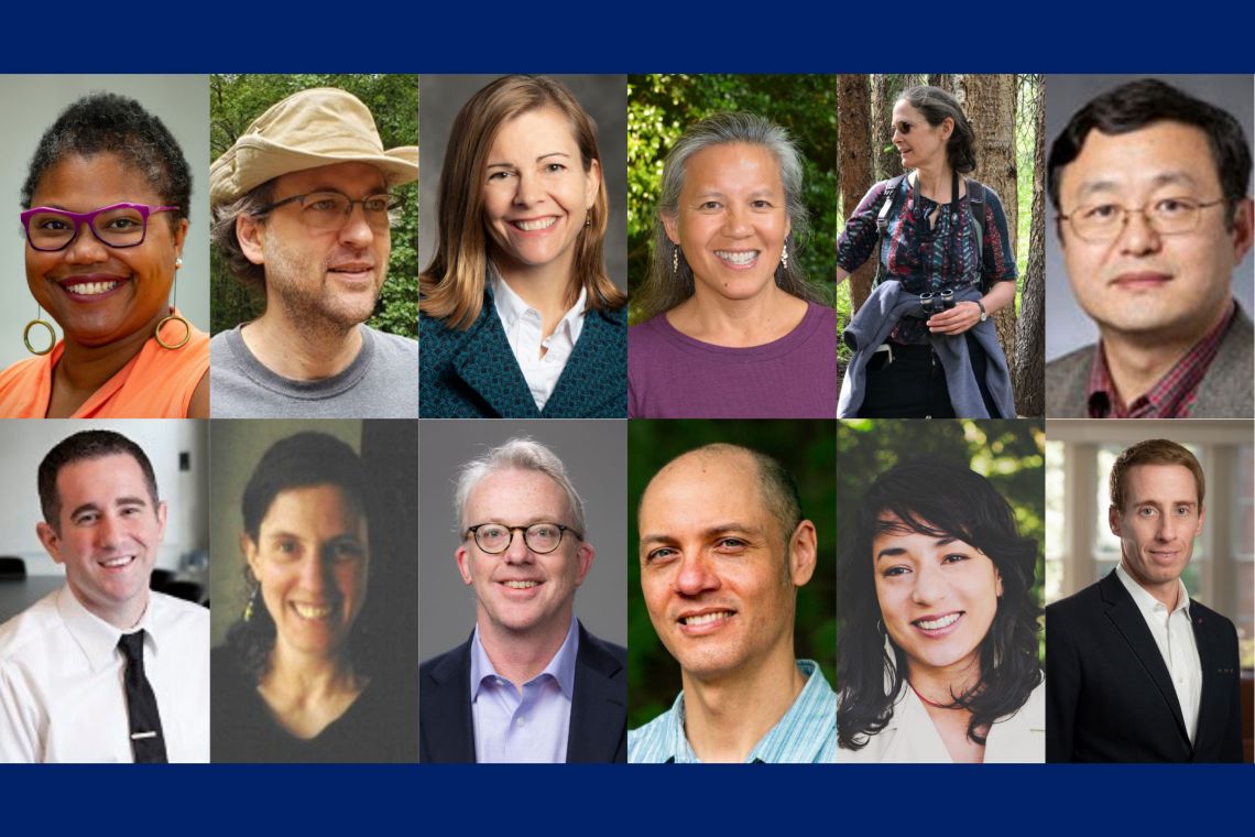 Top row: Adriane Lentz-Smith, Alexander Glass, Deborah Reisinger, Jennifer Lawson, Kathleen Donohue, Jie Liu. Bottom row: Nick Carnes, Priscilla Wald, Rick Larrick, Ryan Emanuel, Saskia Cornes, Steven Sexton.