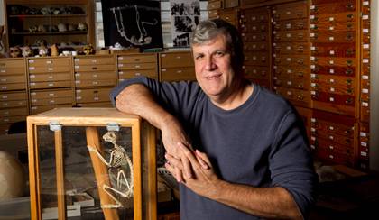 Paleontologist Gregg Gunnell leads a collection of more than 24,000 fossils, many of which provide important clues on primate evolution.  Photo by Duke University Photography