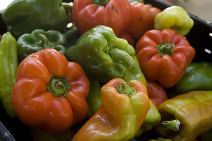Peppers are just one item that can be found at the Duke Mobile Farmers Market. Photo by Duke Photography.