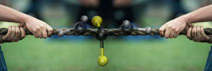 An artistic depiction of molecular tug-of-war. Image courtesy of Steve Craig, Duke.