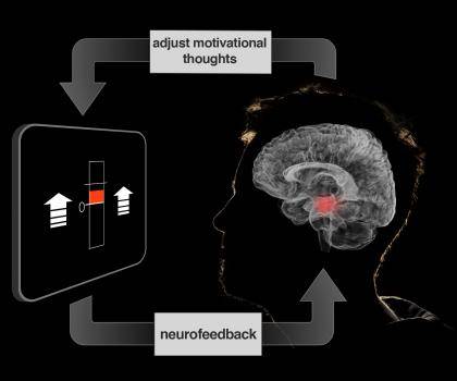 This illustration shows how subjects received real-time feedback during an MRI scan. Without feedback, they were unable to reliably increase activity in the Ventral Tegmental Area (VTA, in red), but the thermometer graphic helped them learn effective str