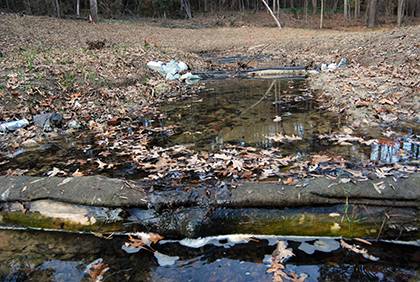 In addition to turning fallen trees into usable wood for construction projects on campus, parts of trees have also been utilized in a restoration stream that runs along Campus Drive on East Campus. The wood helps mitigate erosion and support the riverbed