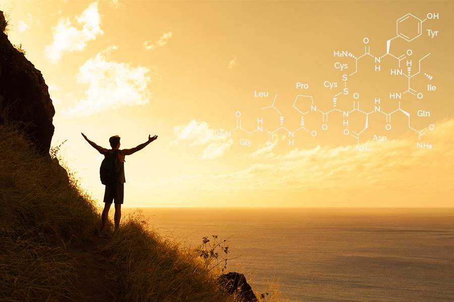 oxytocin supports spirituality 