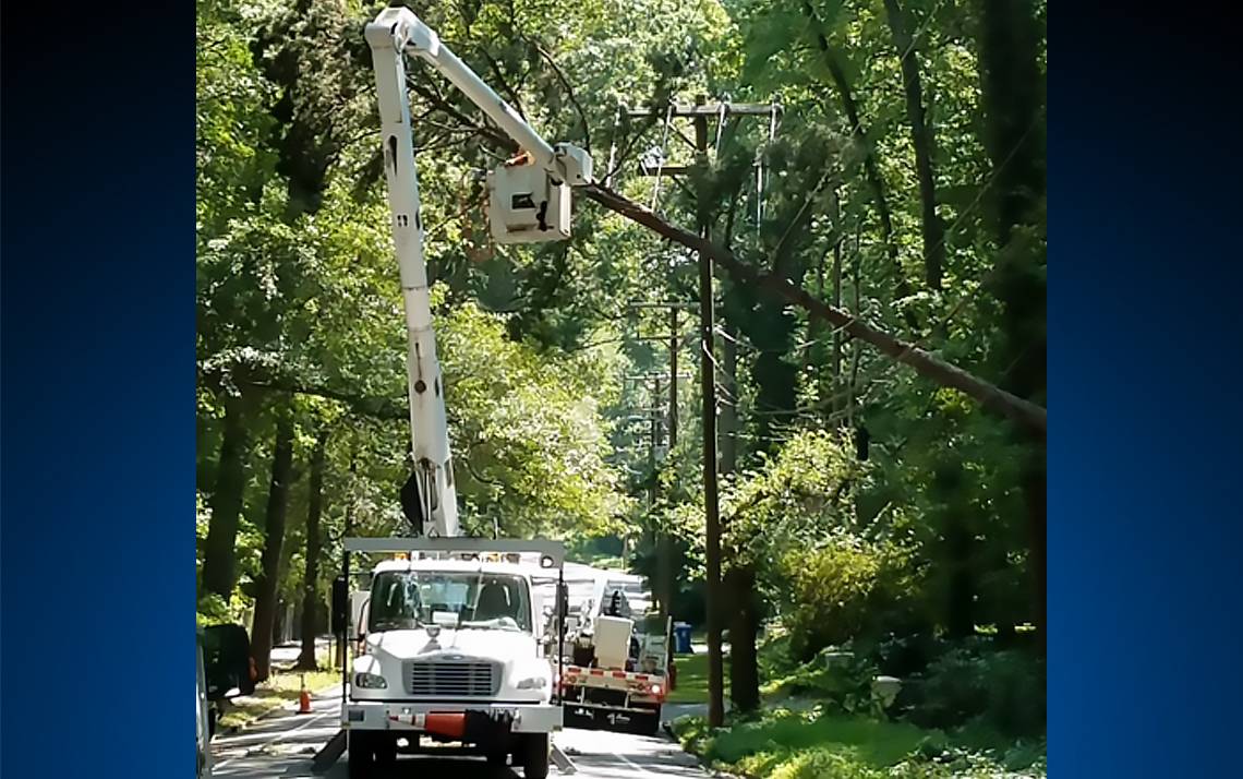 A tree fell across Anderson Street on Wednesday, knocking out power.