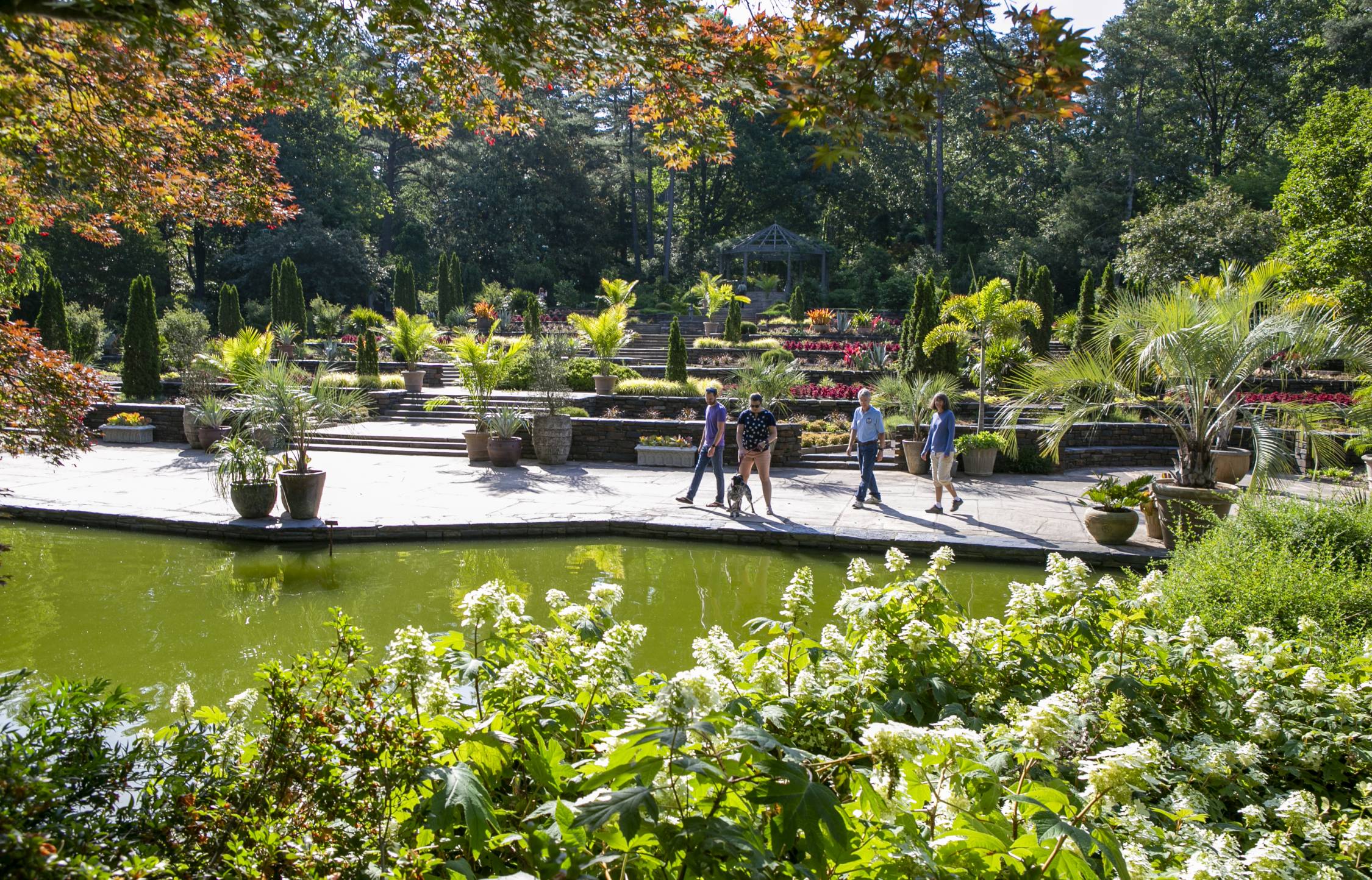 Visitors enjoy a morning walk through the Sarah P. Duke Gardens Terraces on the first day of the reopening to the community.