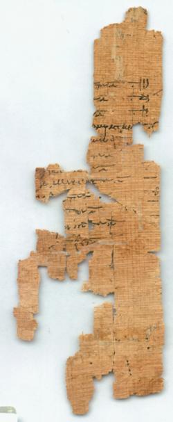 papyrus280.jpg