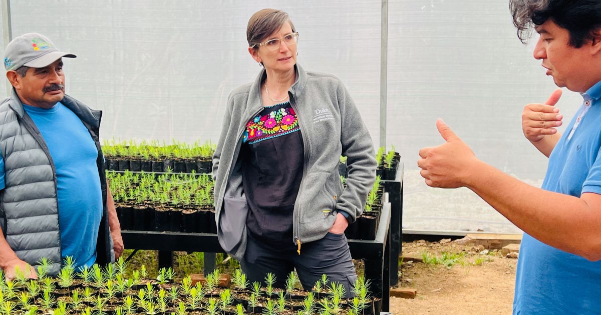 その他 Keno Duke/Contemporaries Sense of Values Keno Duke / Contemporaries (ケノ・デューク) - Crest Of The Wave