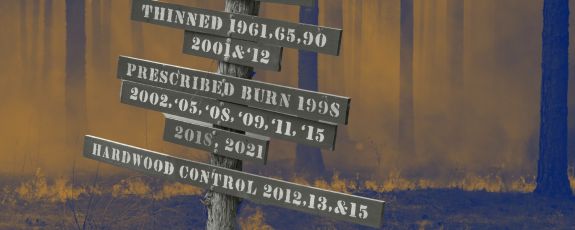 A stylized photo of a historical sign with fire in the backgorund