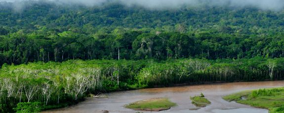 Madidi National Park in Bolivia