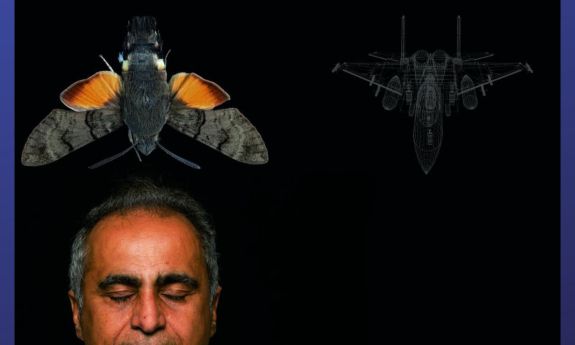One of Vahid Tarokh’s interests is modeling how insects fly for potential application to airplane technology. Photo by Chris Hildreth