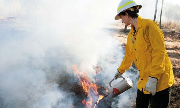 Nicholas Dean Toddi Steelman conducts wildfire research