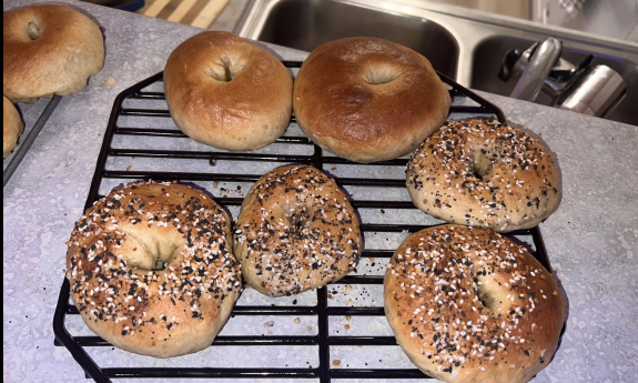 Newly baked bagels on a cooking rack