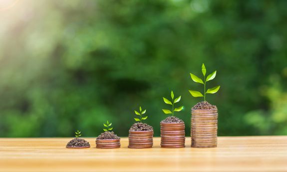 Coins sprouting plants.