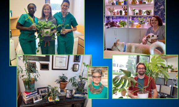 Office plants are a special part of the workday for Duke colleagues.