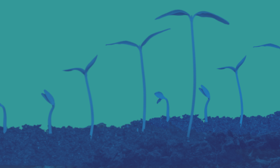 The Nicholas Institute for Energy, Environment & Sustainability invites all Duke faculty and research staff to submit proposals for the 2024 round of Climate Research Innovation Seed Program (CRISP) grants.