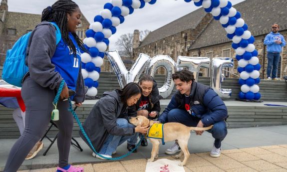 Three students bend down to pet a yellow lab puppy wearing a yellow vest, while one student holds the leash. Behind the students is an arch made of blue and white balloons and silver balloons spelling "Vote"