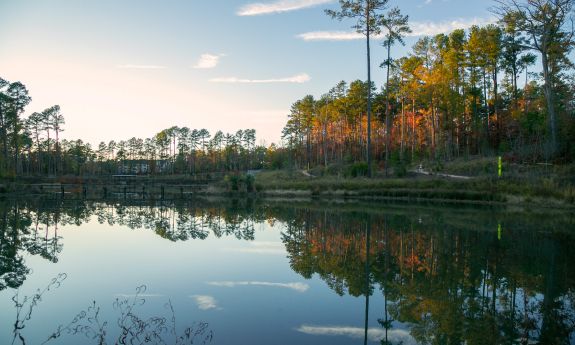 Duke Pond