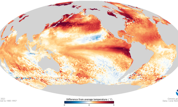 An ovoid map of the entire earth, showing continents as gray and varying ocean temperatures in blue to red scale.