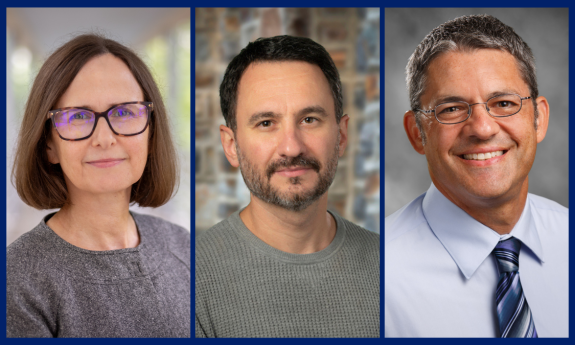 Professor M. Kate Bundorf and Associate Professors Johann Guilleminot and Benjamin Smallheer have been selected to serve as Provost Faculty Fellows for 2024-25.