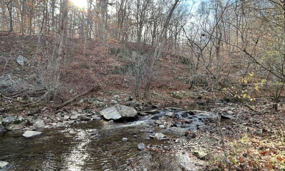 stream runs through Duke Forest