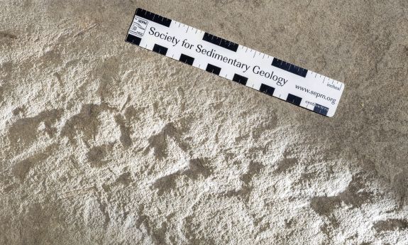 Indentations in a paver stone