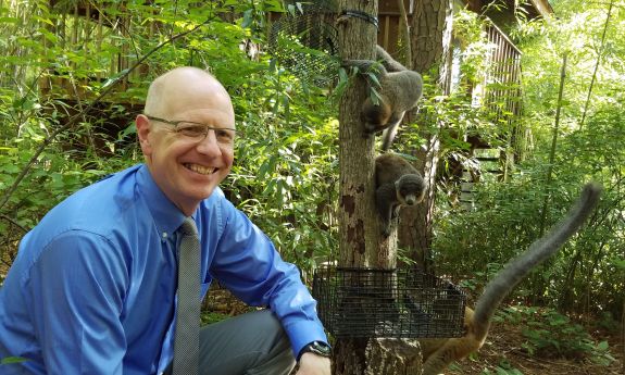 Greg Dye will take over as director of the Duke Lemur Center, the world’s largest and most diverse collection of lemurs outside their native Madagascar. He will succeed biology professor Anne Yoder, who led the center for 12 years. 