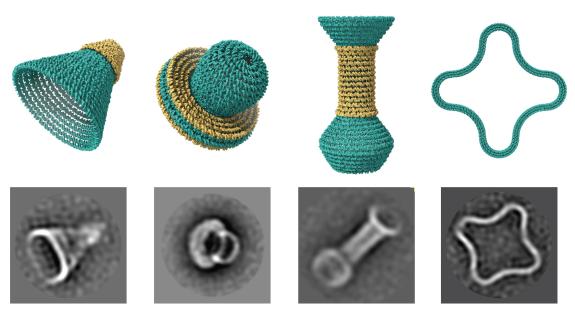 No bigger than a virus, each of these nanostructures was built using software that lets researchers design objects out of concentric rings of DNA. Models (top) and electron microscope images of the actual objects (bottom). Arizona State University. 