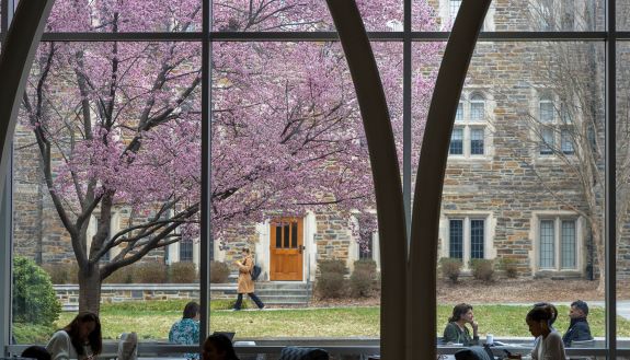Students, faculty and staff enjoy socializing and studying outside the Perk under a Japanese Apricot tree, one of the earliest signs of spring, during an early February afternoon.