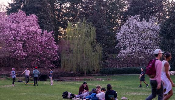 Students and community members relax in Duke Gardens surrounded by a blast of new spring color. Photo by Jared Lazarus