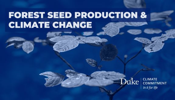 Forest Seed Production & Climate Change thumbnail