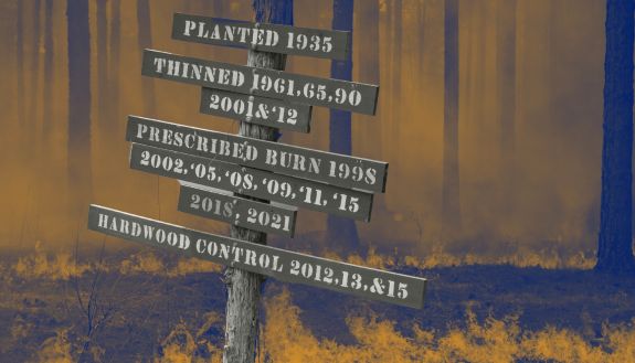 A stylized photo of a historical sign with fire in the backgorund