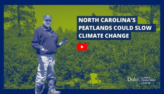 North Carolina's Peatland Could Slow Climate Change. Curt Richardson gestures while holding a phone-sized device, and stands amongst monitoring and measuring equipment, surrounded by scrubby brush of Pocosin National Wildlife Refuge. Image has yellow & green color treatment consistent with stories from the Duke Climate Commitment.