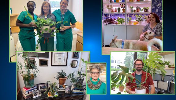 Office plants are a special part of the workday for Duke colleagues.