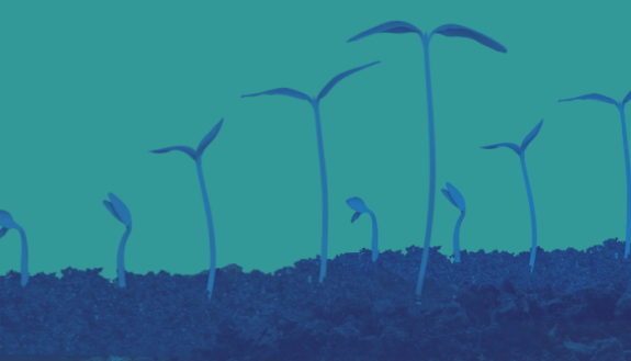 The Nicholas Institute for Energy, Environment & Sustainability invites all Duke faculty and research staff to submit proposals for the 2024 round of Climate Research Innovation Seed Program (CRISP) grants.